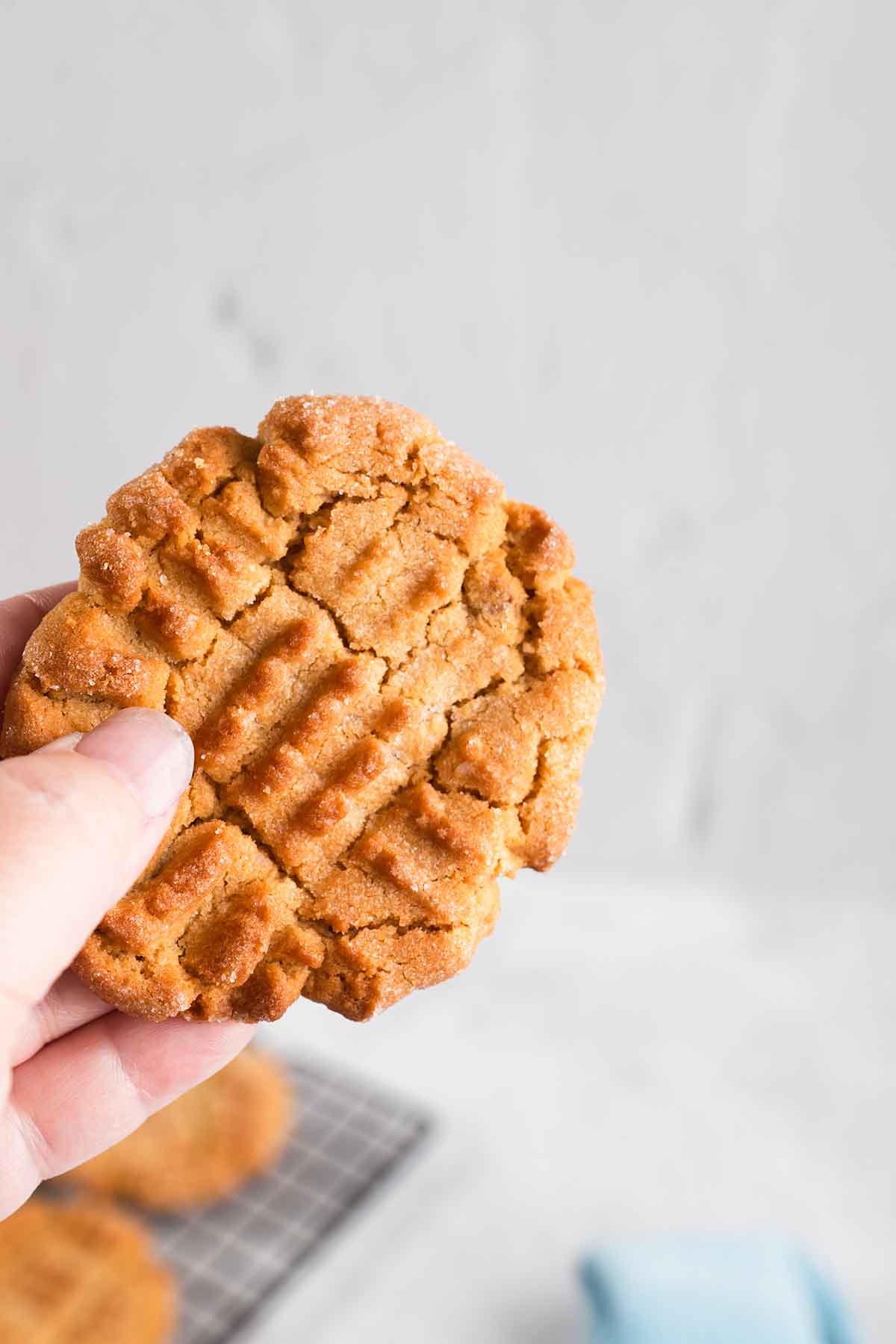 peanut butter cookie in hand